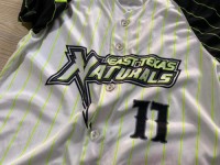 Baseball Jersey – High-Performance Sublimation – Button Down