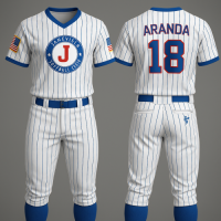 Baseball Knickers and Full Button, Set Uniform, Full Dye Print, Teamwear, Sportswear, OEM,